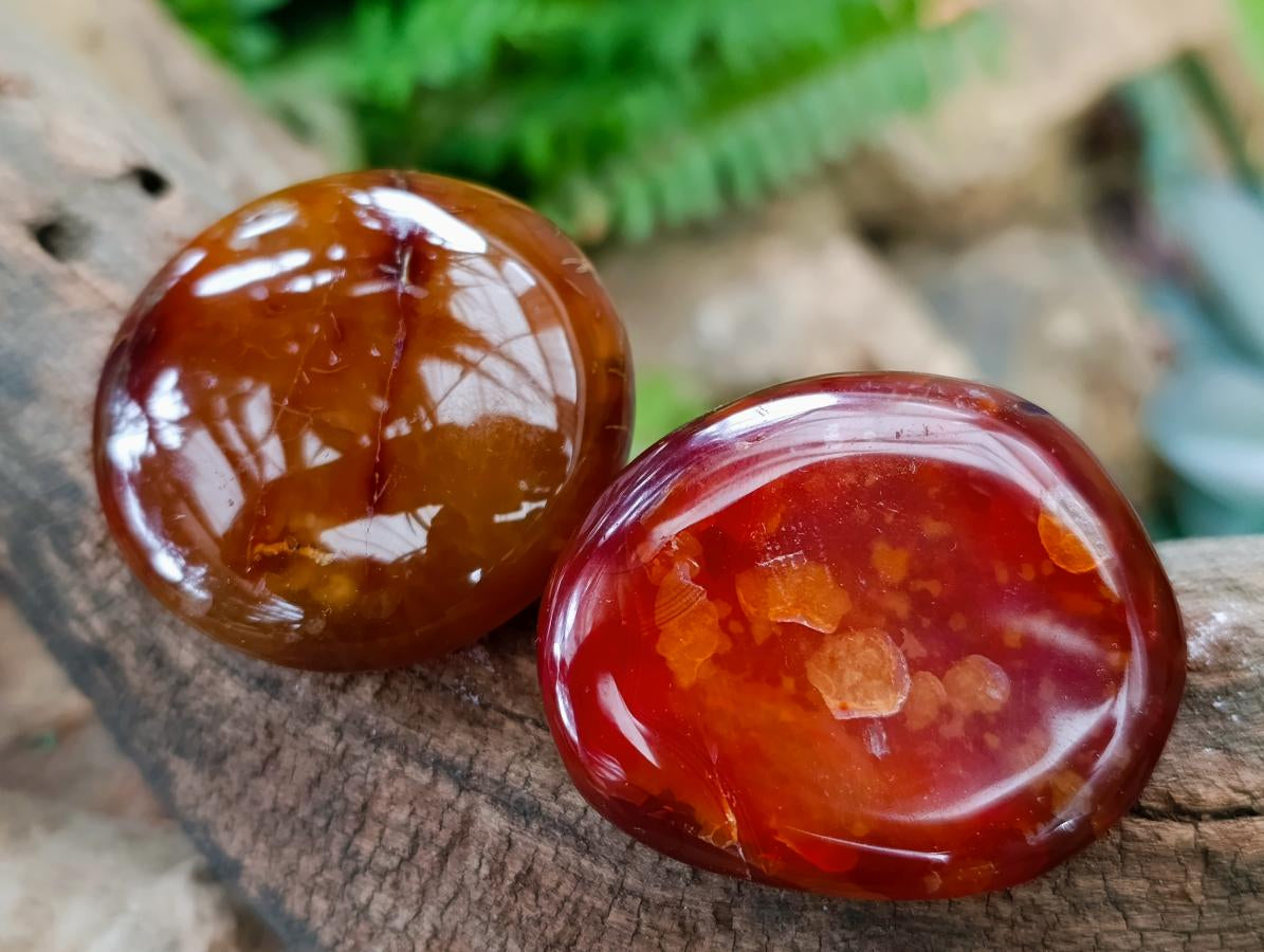Polished Carnelian Agate Gemstone Galets x 20 From Madagascar