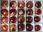 Polished Carnelian Agate Gemstone Galets x 20 From Madagascar