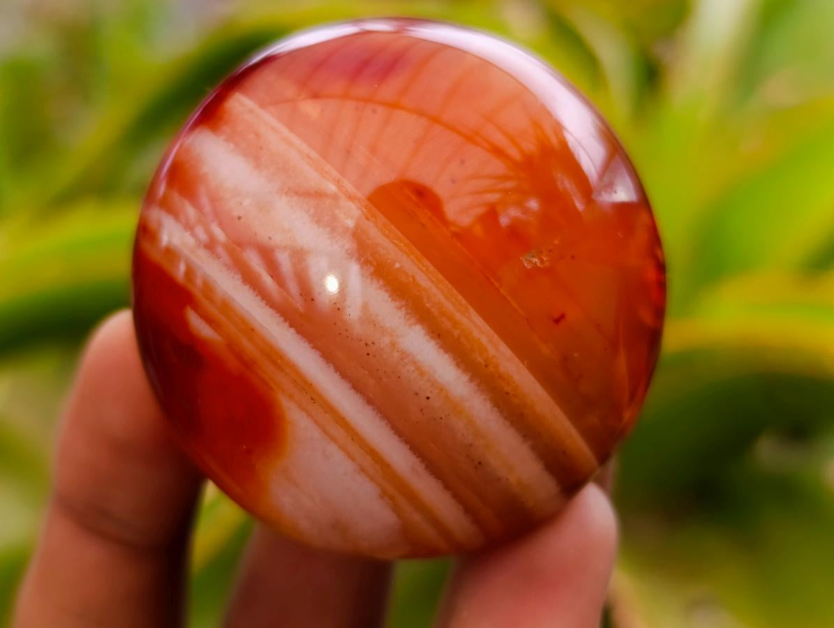 Polished Carnelian Agate Gemstone Galets x 20 From Madagascar