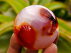 Polished Carnelian Agate Gemstone Galets x 20 From Madagascar