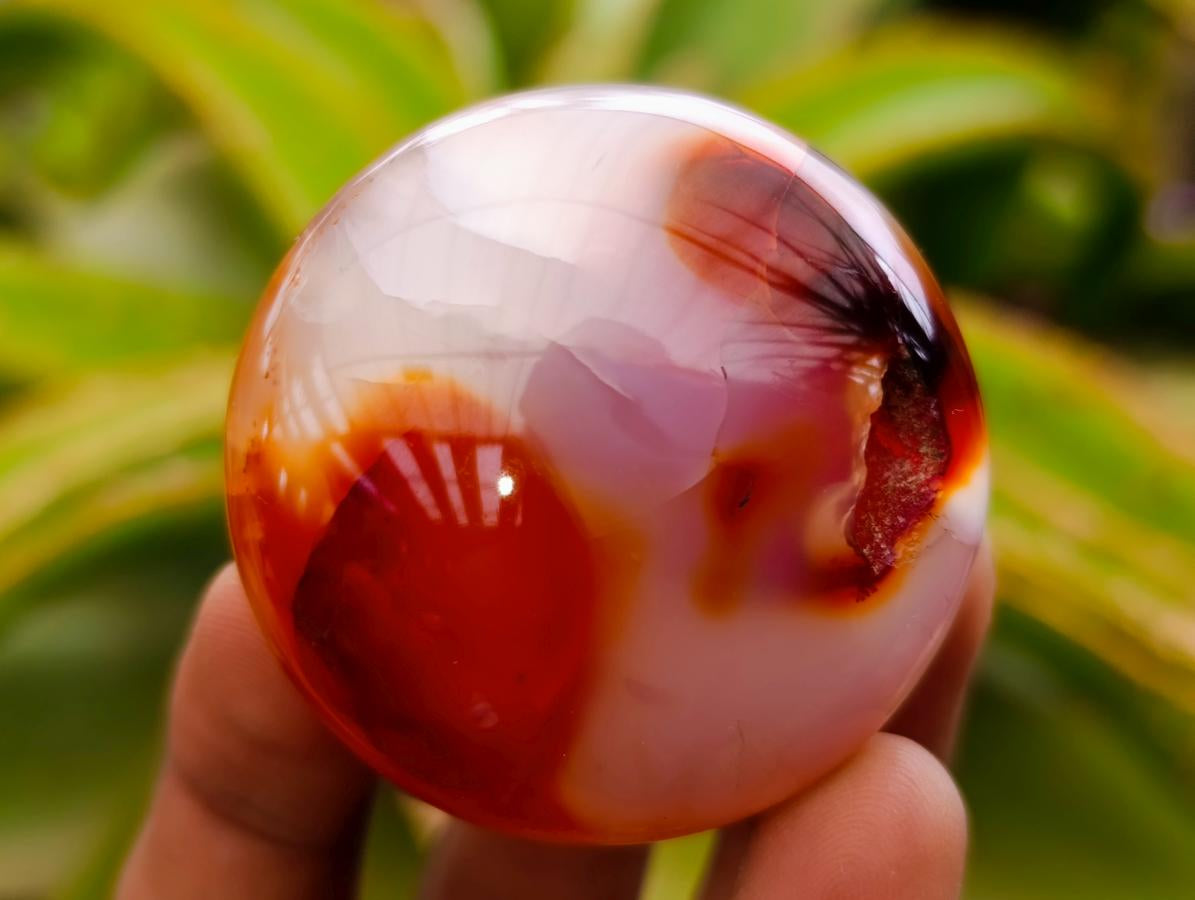 Polished Carnelian Agate Gemstone Galets x 20 From Madagascar