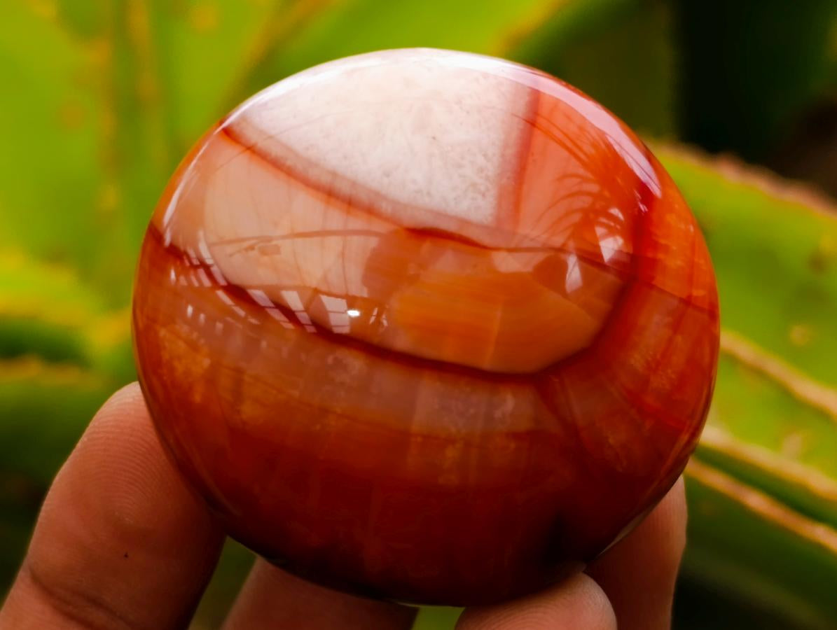 Polished Carnelian Agate Gemstone Galets x 20 From Madagascar
