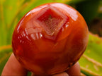 Polished Carnelian Agate Gemstone Galets x 20 From Madagascar
