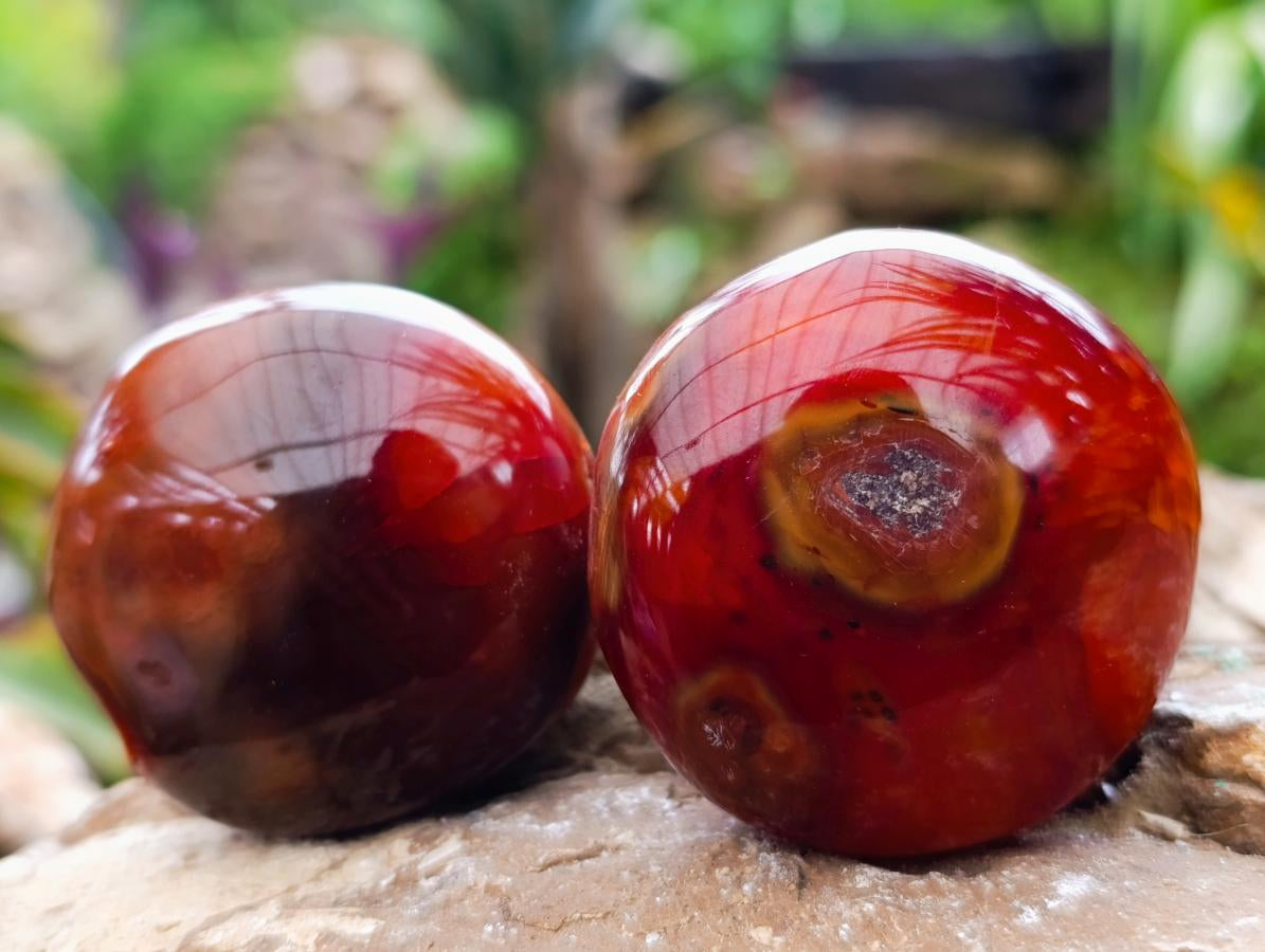 Polished Carnelian Agate Gemstone Galets x 20 From Madagascar
