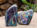 Polished Rare Purple Sunset Flash Labradorite Standing Free Forms x 6 From Madagascar