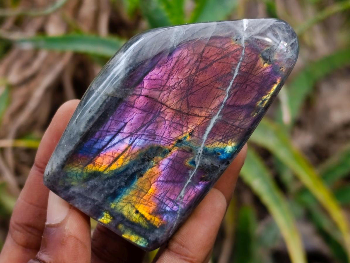 Polished Rare Purple Sunset Flash Labradorite Standing Free Forms x 6 From Madagascar