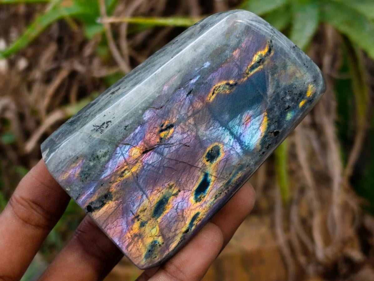 Polished Rare Purple Sunset Flash Labradorite Standing Free Forms x 6 From Madagascar