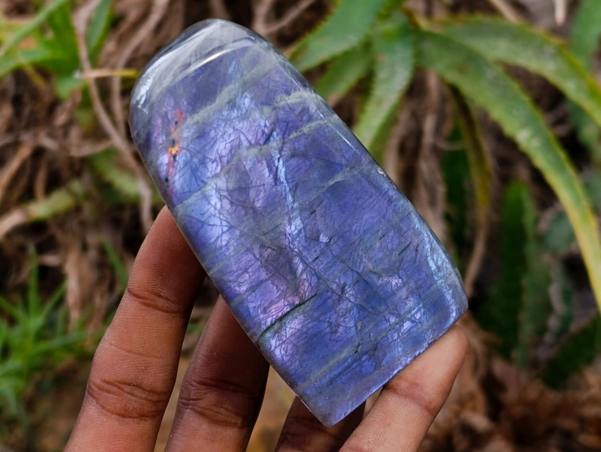 Polished Rare Purple Sunset Flash Labradorite Standing Free Forms x 6 From Madagascar
