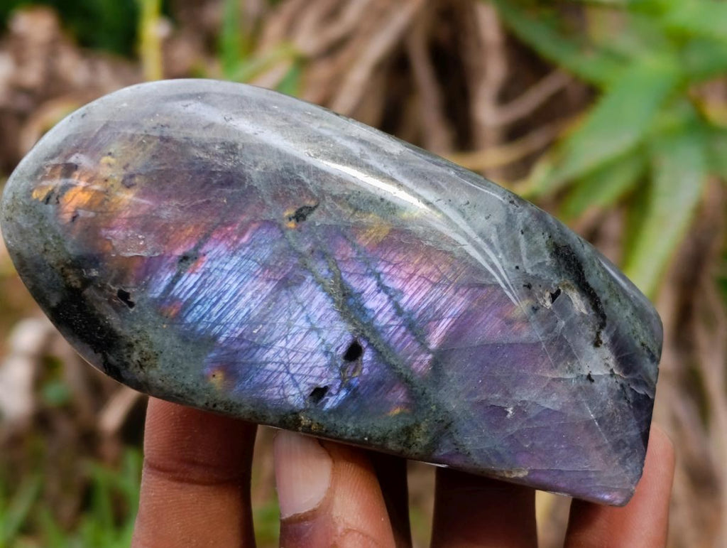 Polished Rare Purple Sunset Flash Labradorite Standing Free Forms x 6 From Madagascar