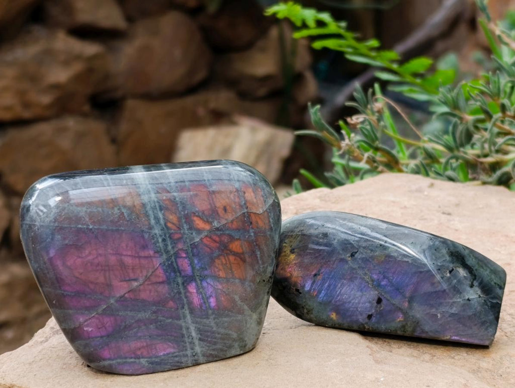 Polished Rare Purple Sunset Flash Labradorite Standing Free Forms x 6 From Madagascar