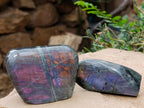 Polished Rare Purple Sunset Flash Labradorite Standing Free Forms x 6 From Madagascar