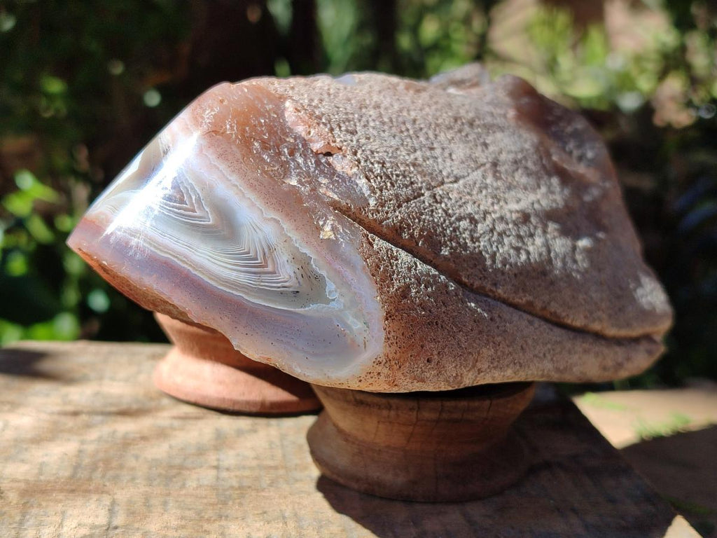 Polished One Side Large Red Shashe River Agate Nodule x 1 From Shashe River, Zimbabwe
