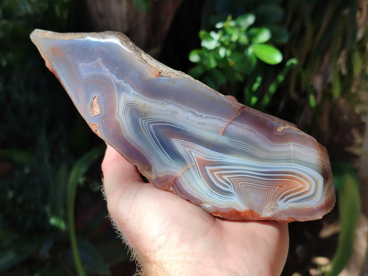 Polished One Side Large Red Shashe River Agate Nodule x 1 From Shashe River, Zimbabwe