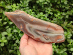 Polished One Side Large Red Shashe River Agate Nodule x 1 From Shashe River, Zimbabwe