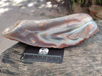 Polished One Side Large Red Shashe River Agate Nodule x 1 From Shashe River, Zimbabwe