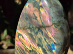 Polished Sunset Purple Labradorite Standing Free Forms x 2 From Madagascar