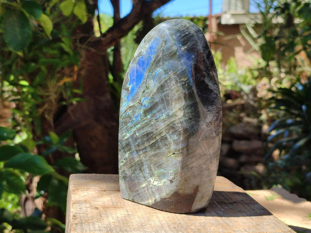 Polished Sunset Purple Labradorite Standing Free Forms x 2 From Madagascar