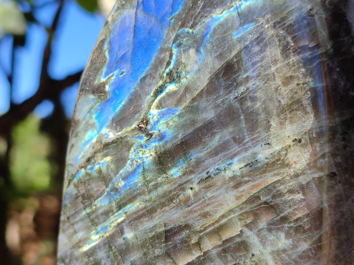 Polished Sunset Purple Labradorite Standing Free Forms x 2 From Madagascar