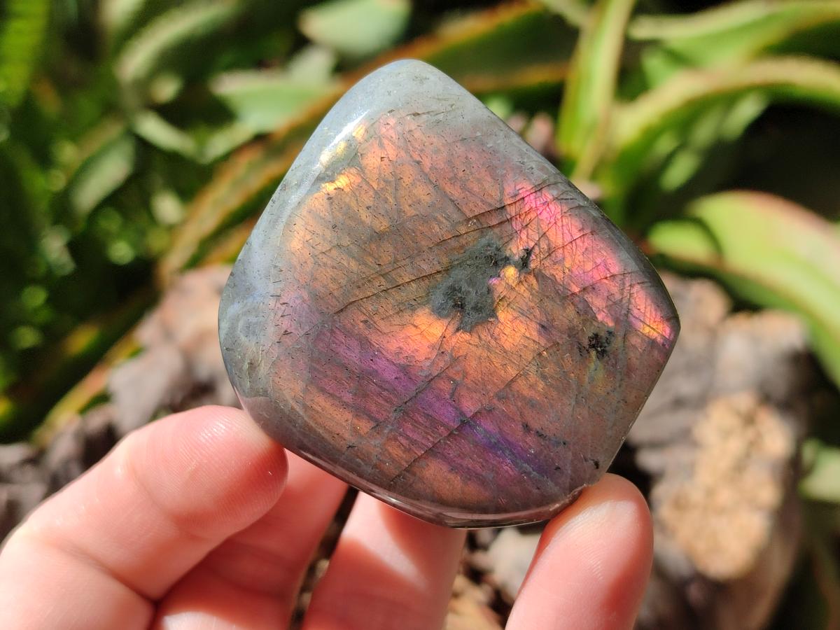 Polished Sunset Purple Labradorite Standing Free Forms x 2 From Madagascar