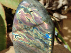 Polished Sunset Purple Labradorite Standing Free Forms x 2 From Madagascar