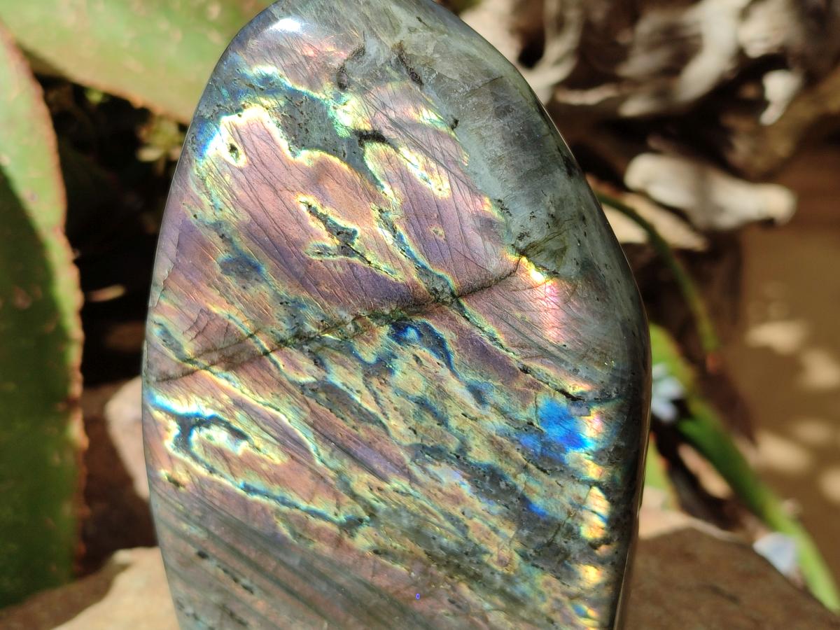 Polished Sunset Purple Labradorite Standing Free Forms x 2 From Madagascar