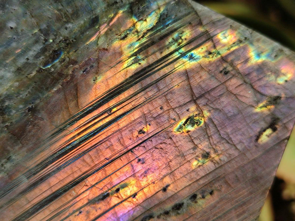 Polished Sunset Purple Labradorite Standing Free Forms x 2 From Madagascar