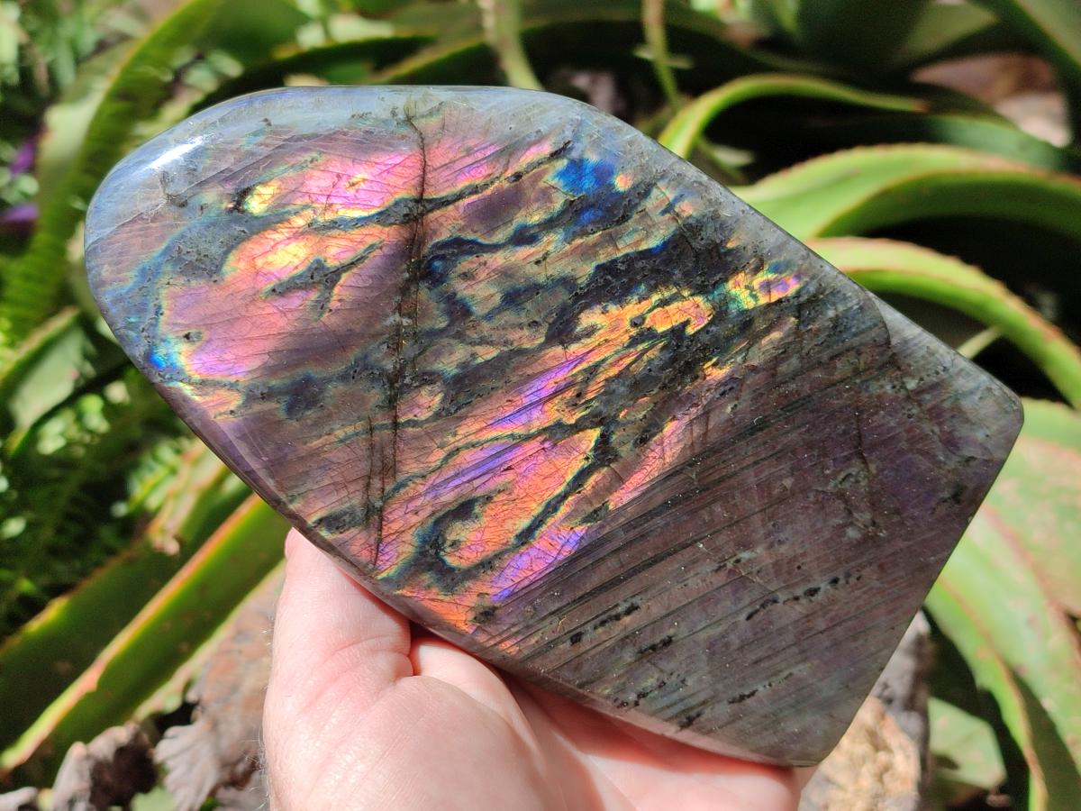 Polished Sunset Purple Labradorite Standing Free Forms x 2 From Madagascar