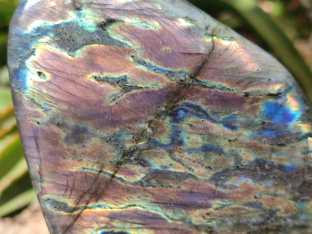 Polished Sunset Purple Labradorite Standing Free Forms x 2 From Madagascar