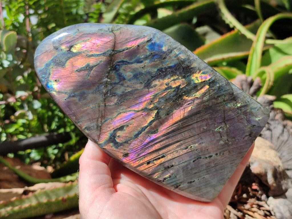 Polished Sunset Purple Labradorite Standing Free Forms x 2 From Madagascar