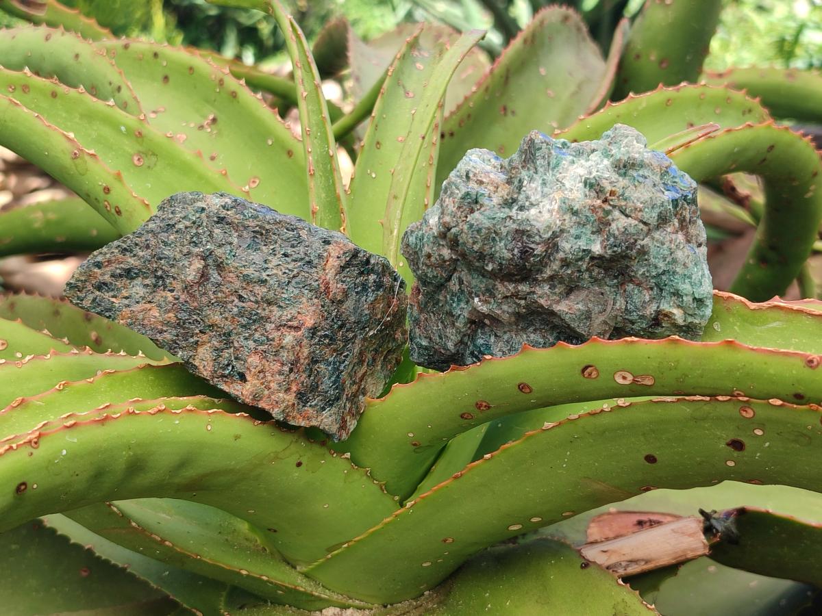 Natural Cobbed Blue Apatite Specimens x 12 From Betroka, Madagascar