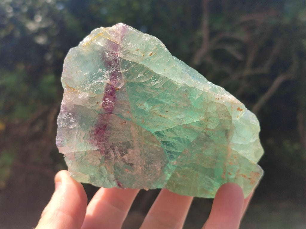 Natural Large Watermelon Fluorite Cobbed Specimens x 5 From Uis, Namibia