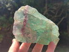 Natural Large Watermelon Fluorite Cobbed Specimens x 5 From Uis, Namibia