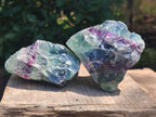 Natural Large Watermelon Fluorite Cobbed Specimens x 5 From Uis, Namibia