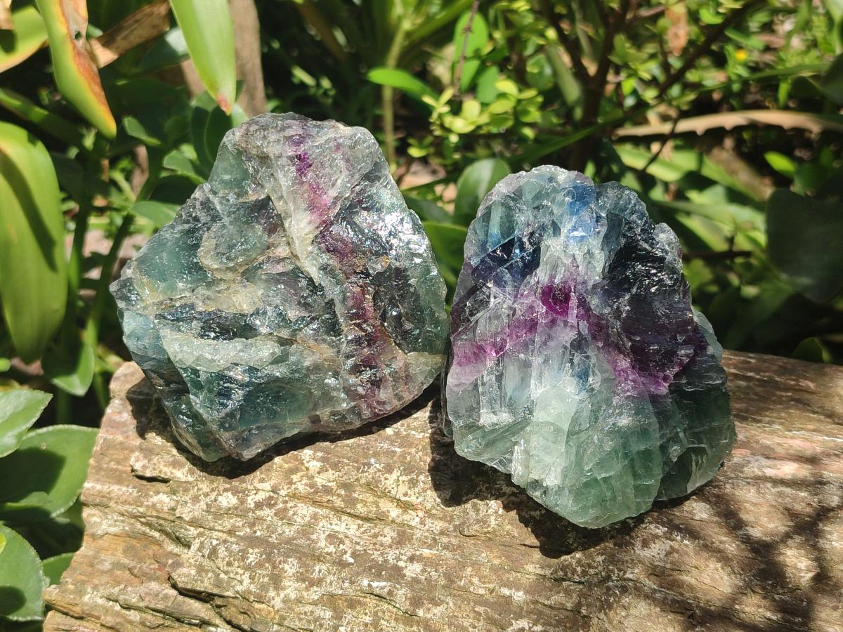 Natural Large Watermelon Fluorite Cobbed Specimens x 5 From Uis, Namibia