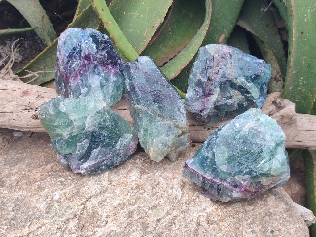 Natural Large Watermelon Fluorite Cobbed Specimens x 5 From Uis, Namibia