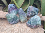 Natural Large Watermelon Fluorite Cobbed Specimens x 5 From Uis, Namibia