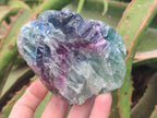 Natural Large Watermelon Fluorite Cobbed Specimens x 5 From Uis, Namibia