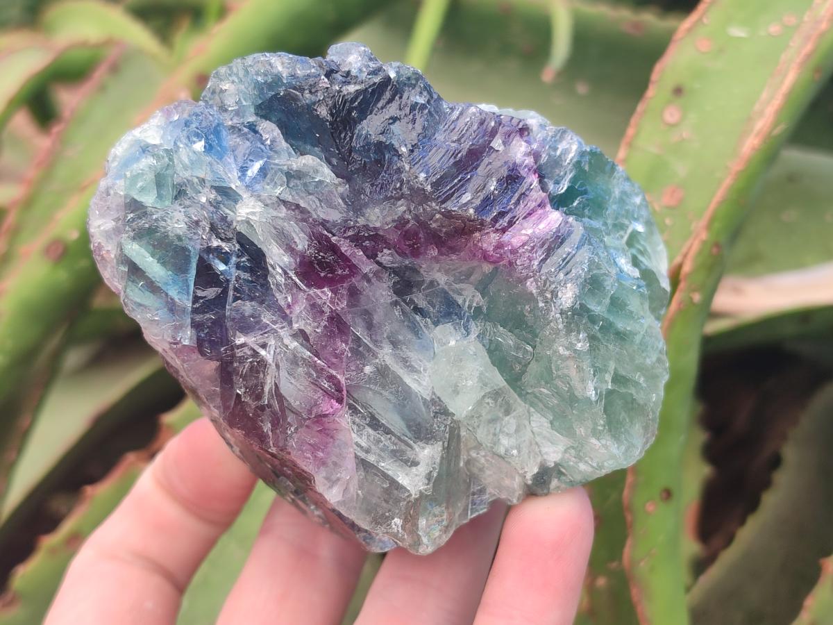 Natural Large Watermelon Fluorite Cobbed Specimens x 5 From Uis, Namibia