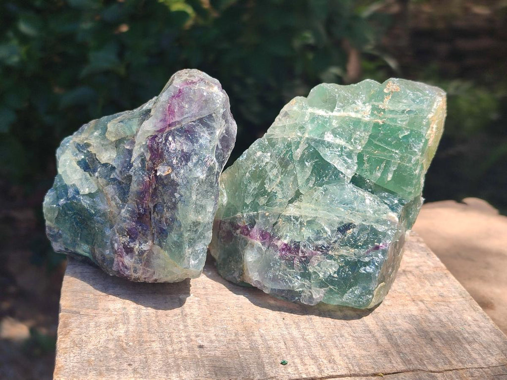 Natural Large Watermelon Fluorite Cobbed Specimens x 5 From Uis, Namibia