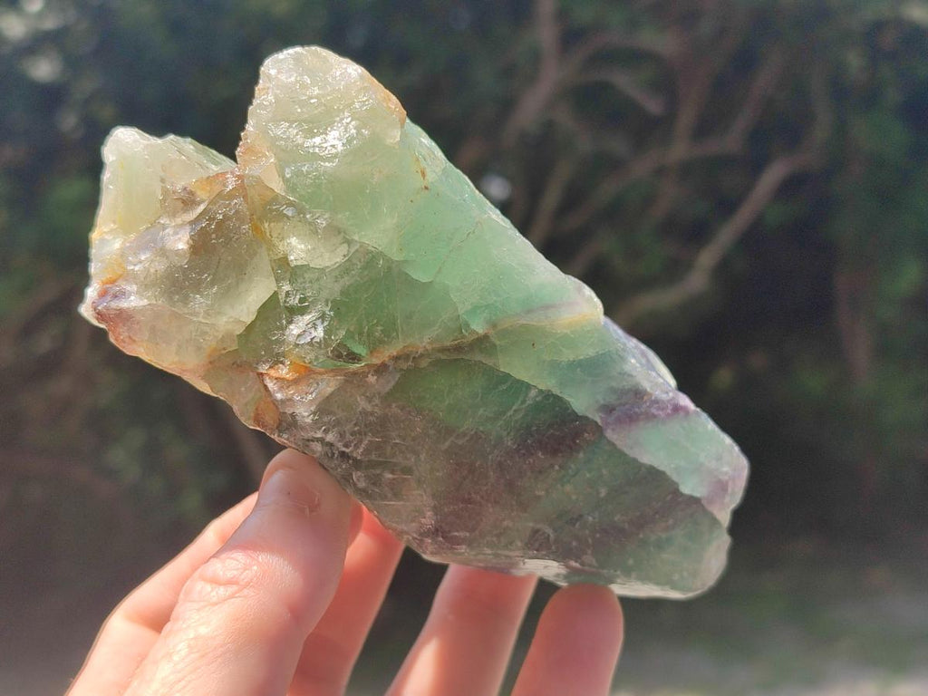 Natural Large Watermelon Fluorite Cobbed Specimens x 5 From Uis, Namibia