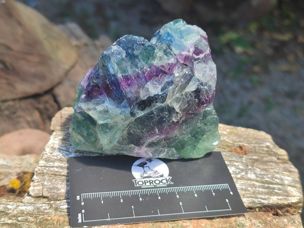 Natural Large Watermelon Fluorite Cobbed Specimens x 5 From Uis, Namibia