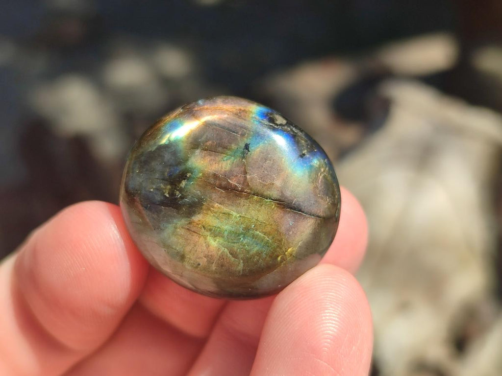 Polished Rounded Labradorite Free Forms x 70 From Madagascar