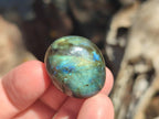 Polished Rounded Labradorite Free Forms x 70 From Madagascar