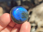 Polished Rounded Labradorite Free Forms x 70 From Madagascar