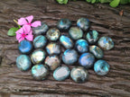 Polished Rounded Labradorite Free Forms x 70 From Madagascar