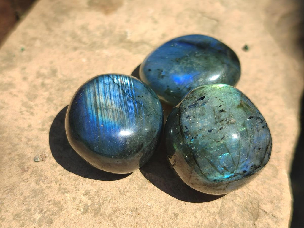 Polished Rounded Labradorite Free Forms x 70 From Madagascar