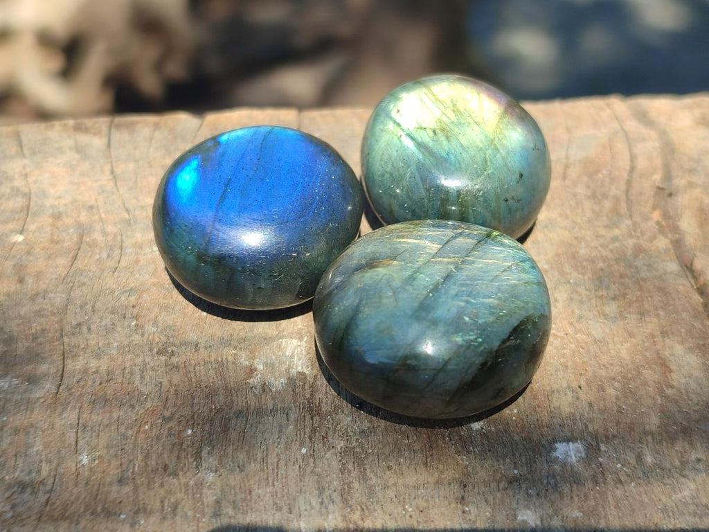 Polished Rounded Labradorite Free Forms x 70 From Madagascar
