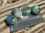 Polished Rounded Labradorite Free Forms x 70 From Madagascar