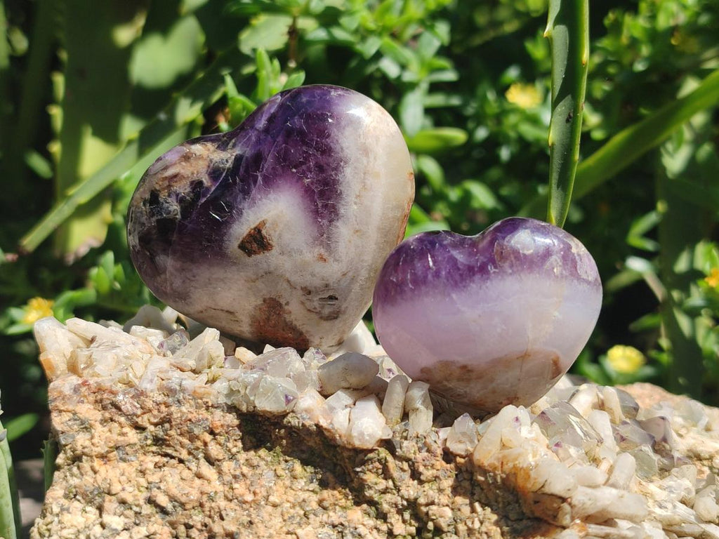 Polished Banded Amethyst Hearts x 13 From Madagascar