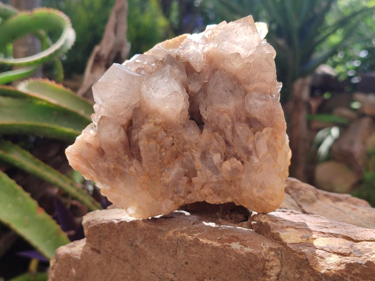 Natural White Phantom Cascading Smokey Luena Quartz Clusters x 2 From Luena, Congo